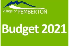 Public Budget Info Session | 2021 Review