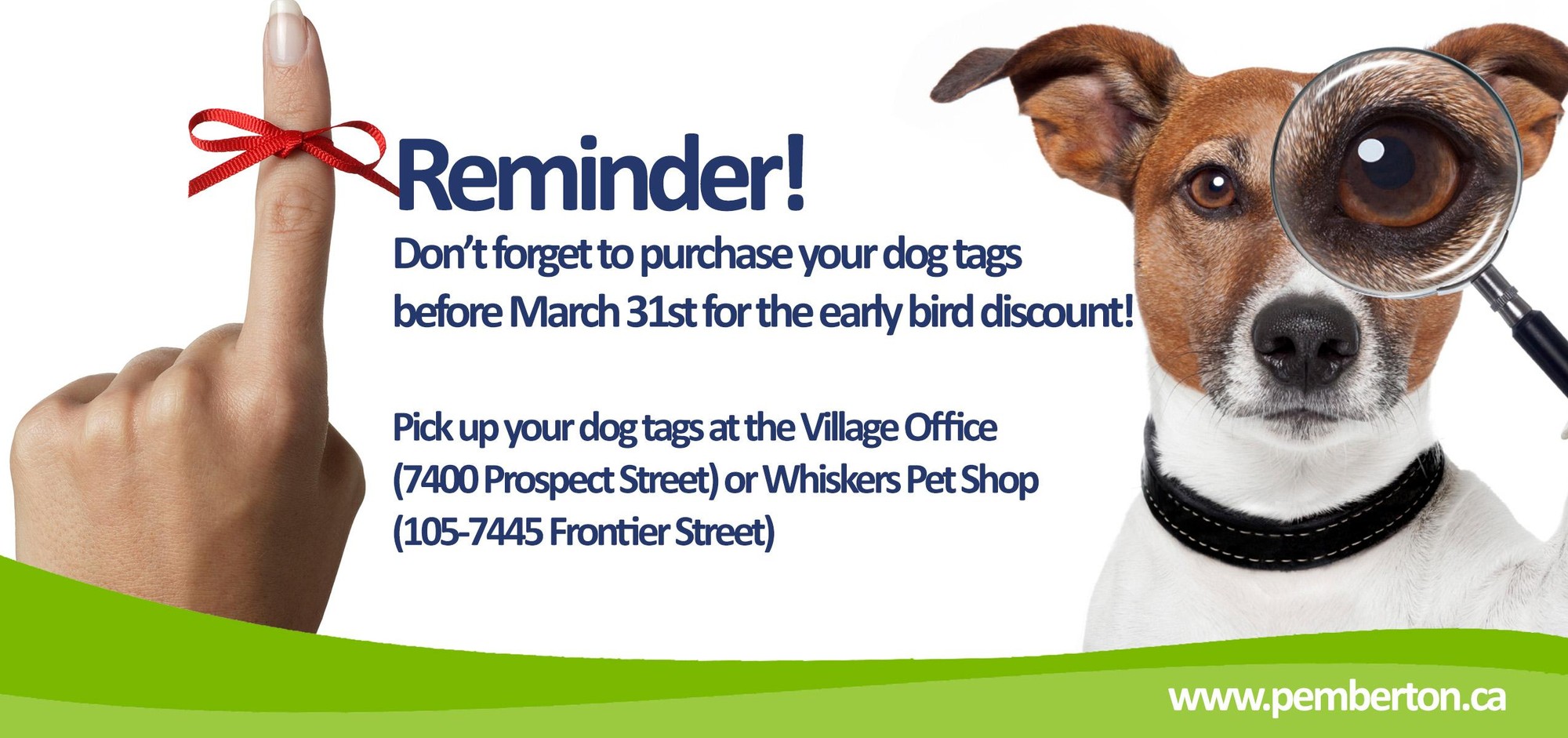 Reminder Don t Forget to Purchase Dog Tags Before March 31st for Early Bird Discount Village of Pemberton News Village of Pemberton