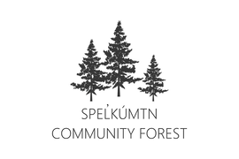 Spel̓kúmtn Community Forest Update